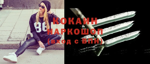 гашик Новодвинск