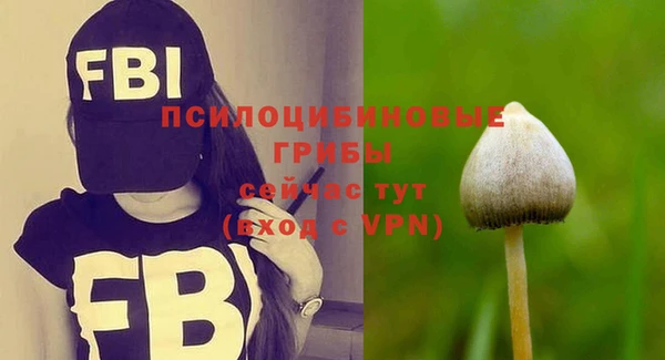 гашик Новодвинск