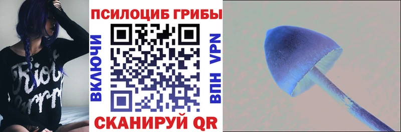Псилоцибиновые грибы прущие грибы  mega онион  Никольск 
